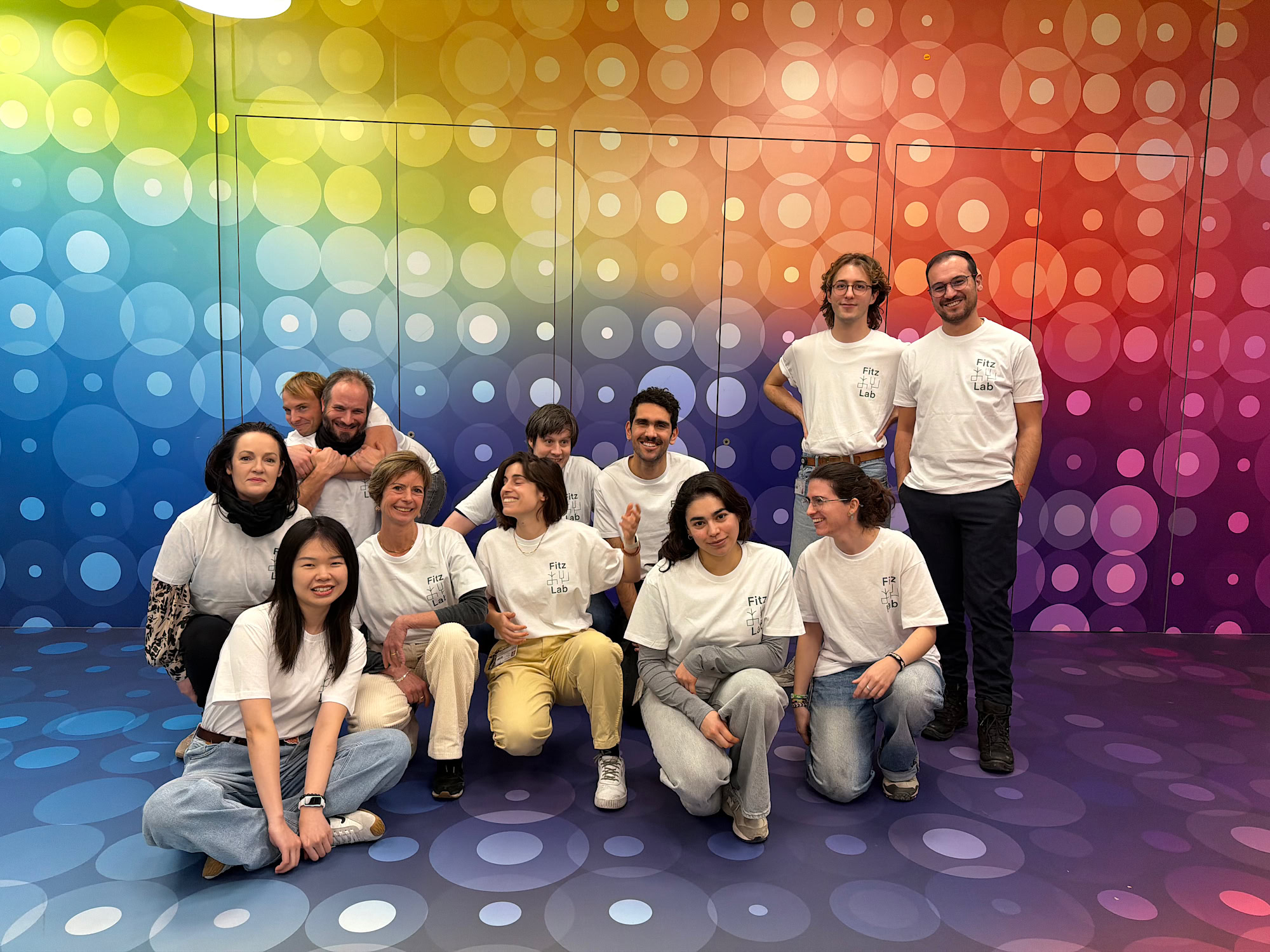 The Fitzpatrick group