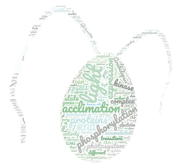 Symposium2018_wordcloud2.jpg